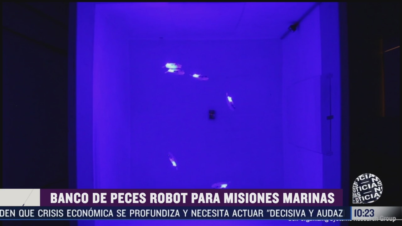 crean banco de peces robot para misiones marinas