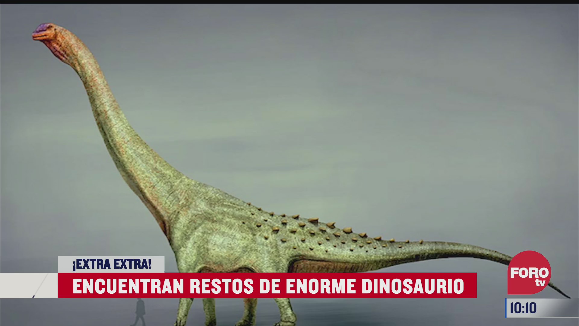 extra extra encuentran restos de enorme dinosaurio