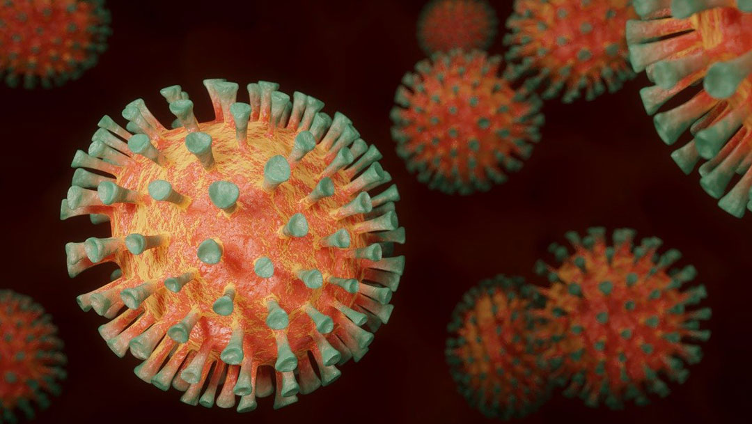 Científicos de Argentina han realizado un estudio que sugiere una mutación del coronavirus que causa COVID-19