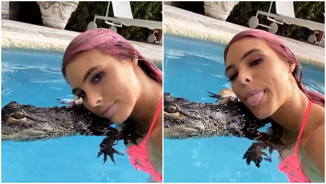 Influencer y cantante Lele Pons acusada por maltrato animal por nadar con cocodrilo