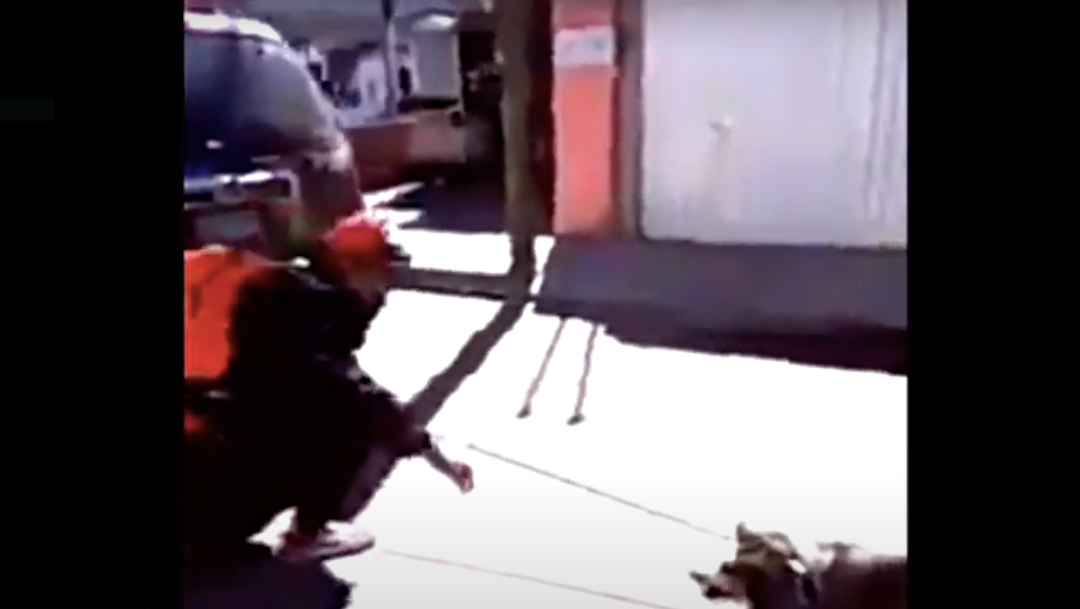 Video: Mujer arrastra a un perrito que estaba amarrado a su camioneta