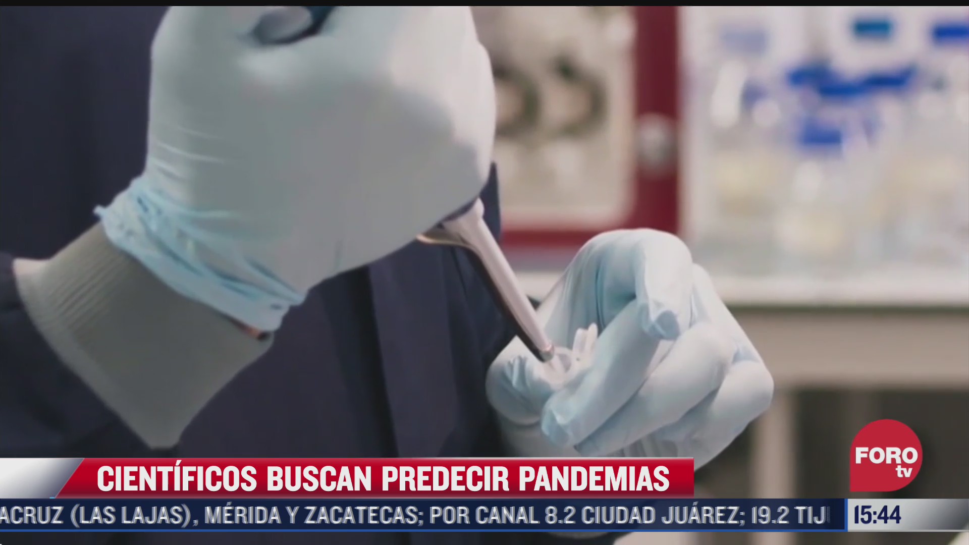 cientificos buscan predecir pandemias