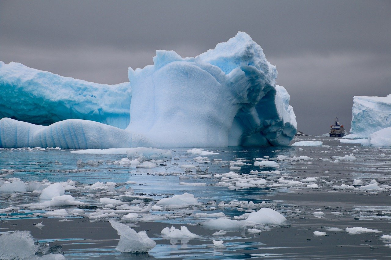Descubren animales extraños debajo del hielo de la Antártida