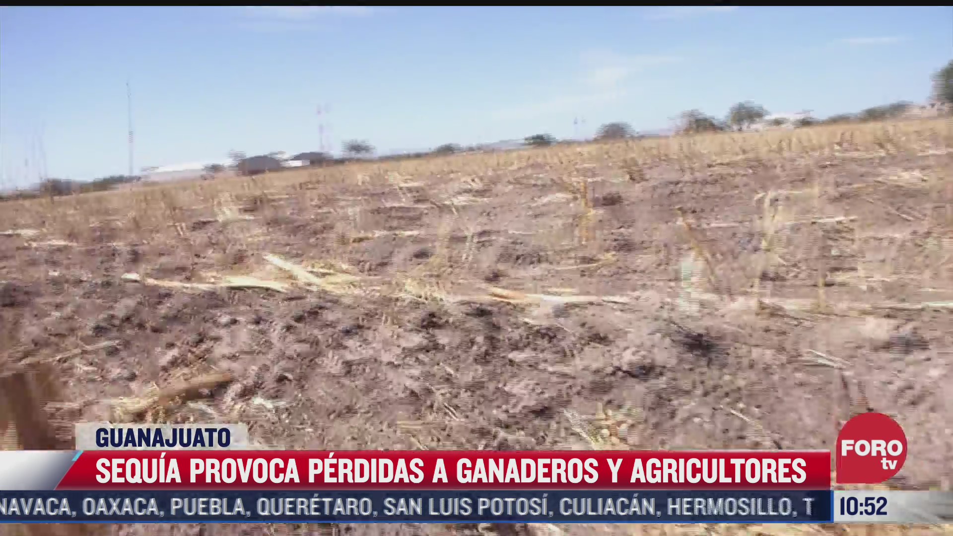 falta de lluvias afecta agricultores en guanajuato