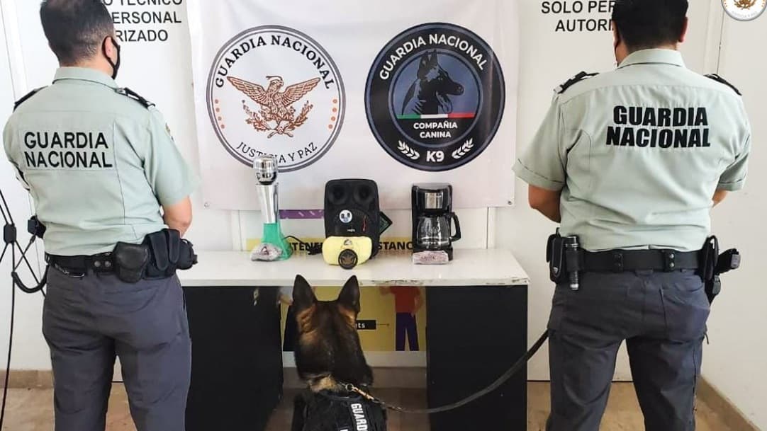 Guardia Nacional decomisa metanfetamina oculta en electrodomésticos en Sinaloa