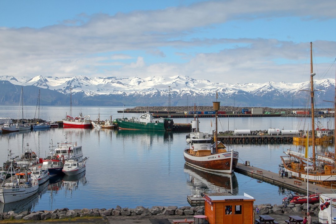 En Islandia retoma la normalidad tras abatir contagios de COVID-19