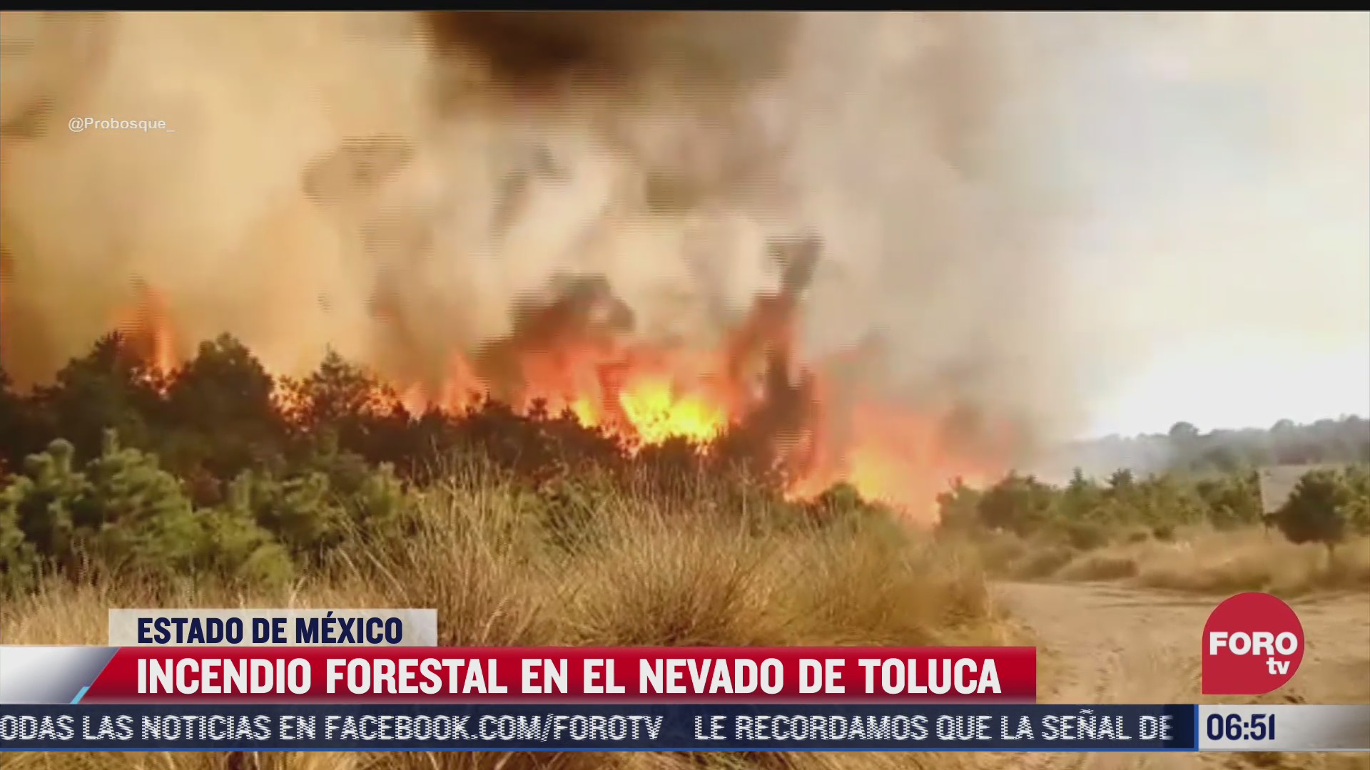 incendio forestal afecta el nevado de toluca en el estado de mexico