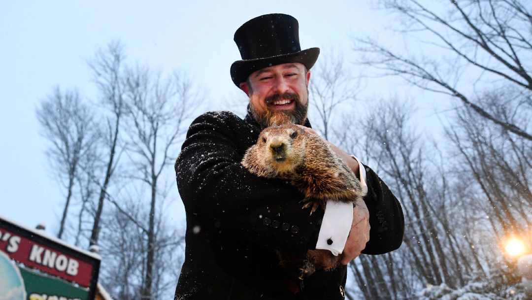 La marmota Punxsutawney Phil pronostica seis semanas más de invierno