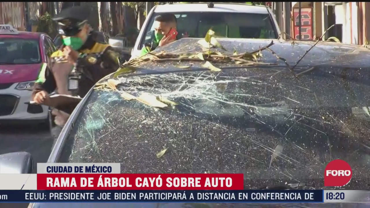 rama de arbol cae sobre auto en la colonia san francisco culhuacan