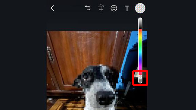 Te explicamos como hacer el truco de pixelear fotos en WhatsApp sin tener que instalar otra app
