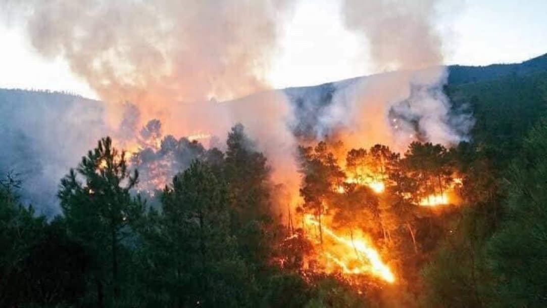 Zonas serranas de Oaxaca se consumen por incendios forestales