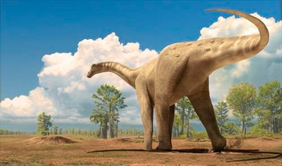 Encuentran titanosaurio de hace 140 millones de años en la Patagonia