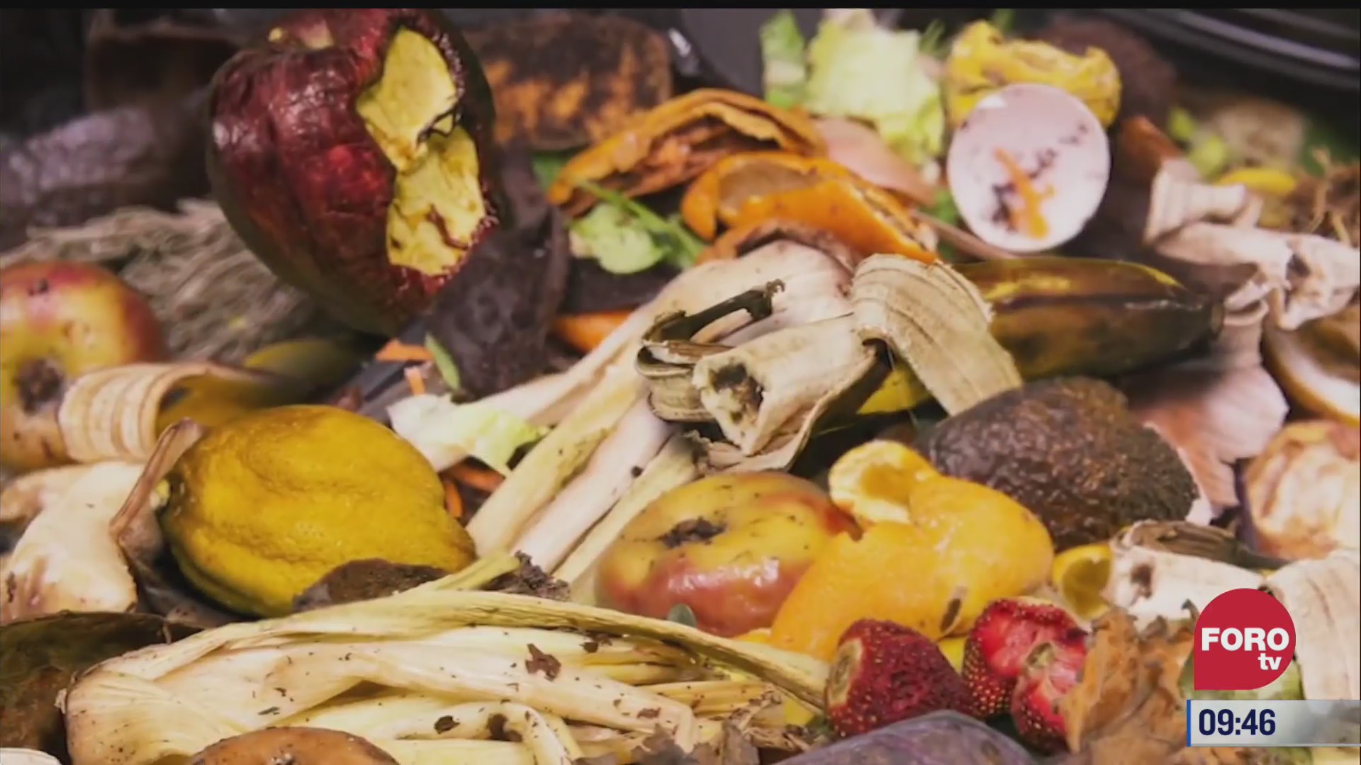 extra extra alto porcentaje de desperdicio de comida en el mundo