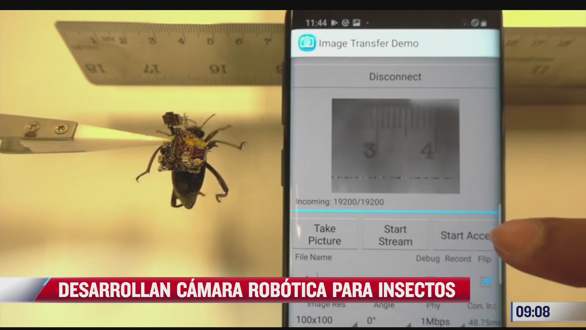 extra extra desarrollan camara robotica para insectos