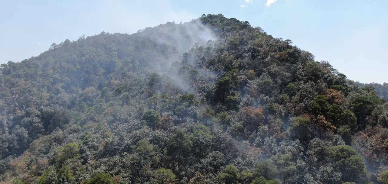 Incendio consume 51 hectáreas de bosque en Cerro de Capula, Querétaro