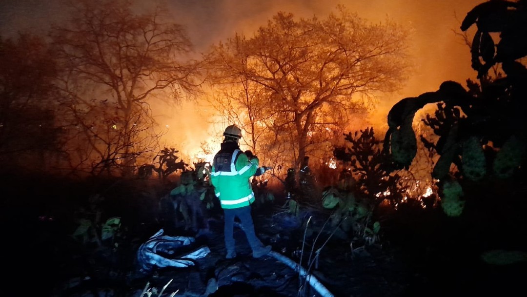 Incendio forestal afecta reserva ecológica en la colonia Fuentes del Pedregal, CDMX