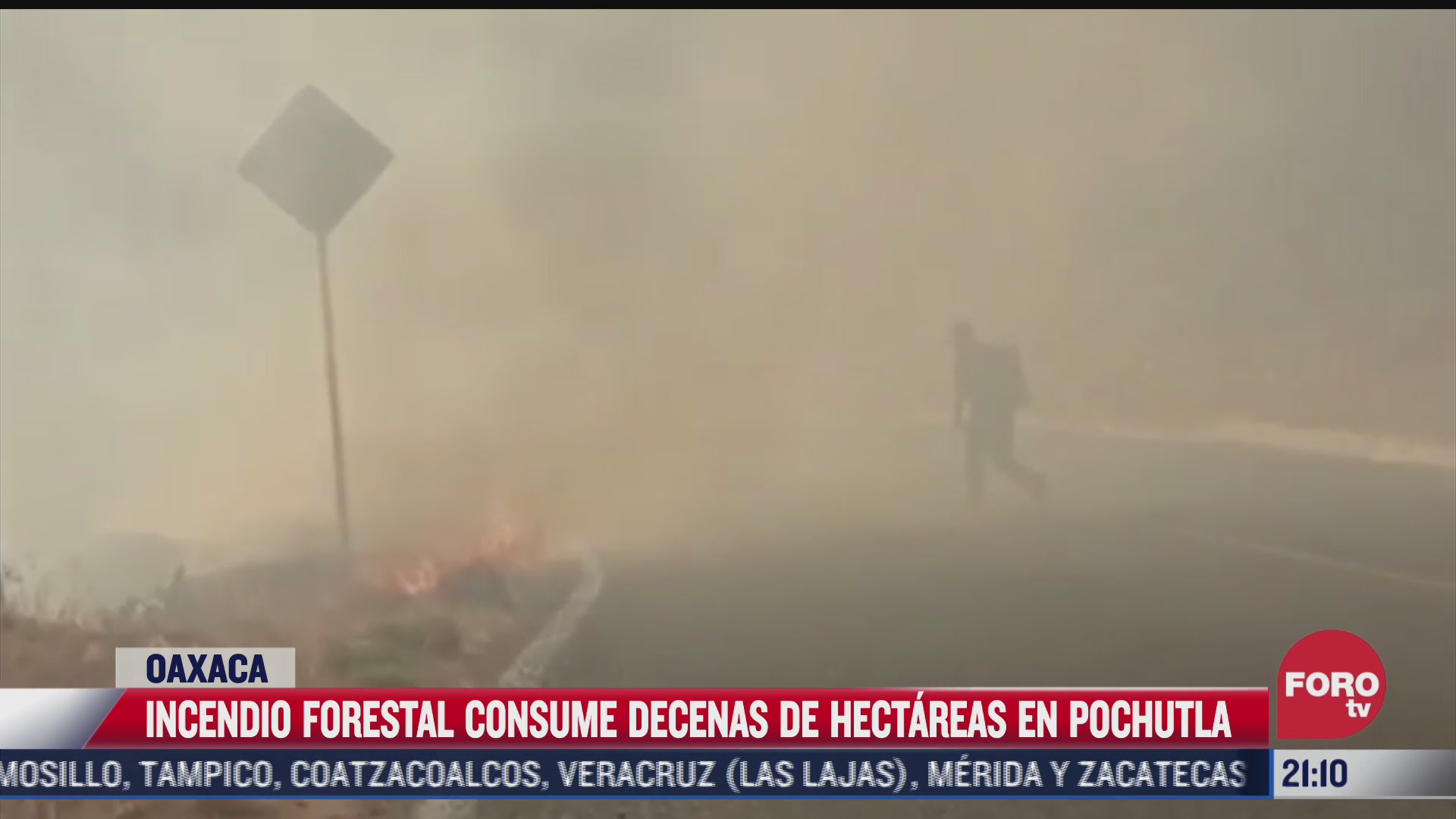 incendio forestal consume decenas de hectareas en pochutla oaxaca