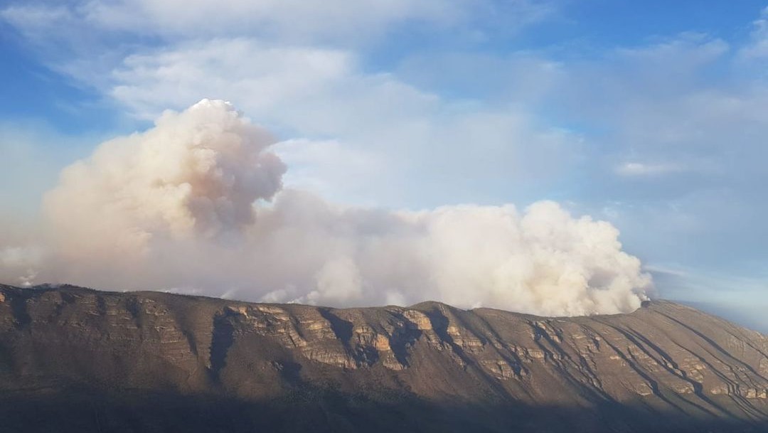 Incendio forestal afecta a Coahuila y Nuevo León (Cuartoscuro)