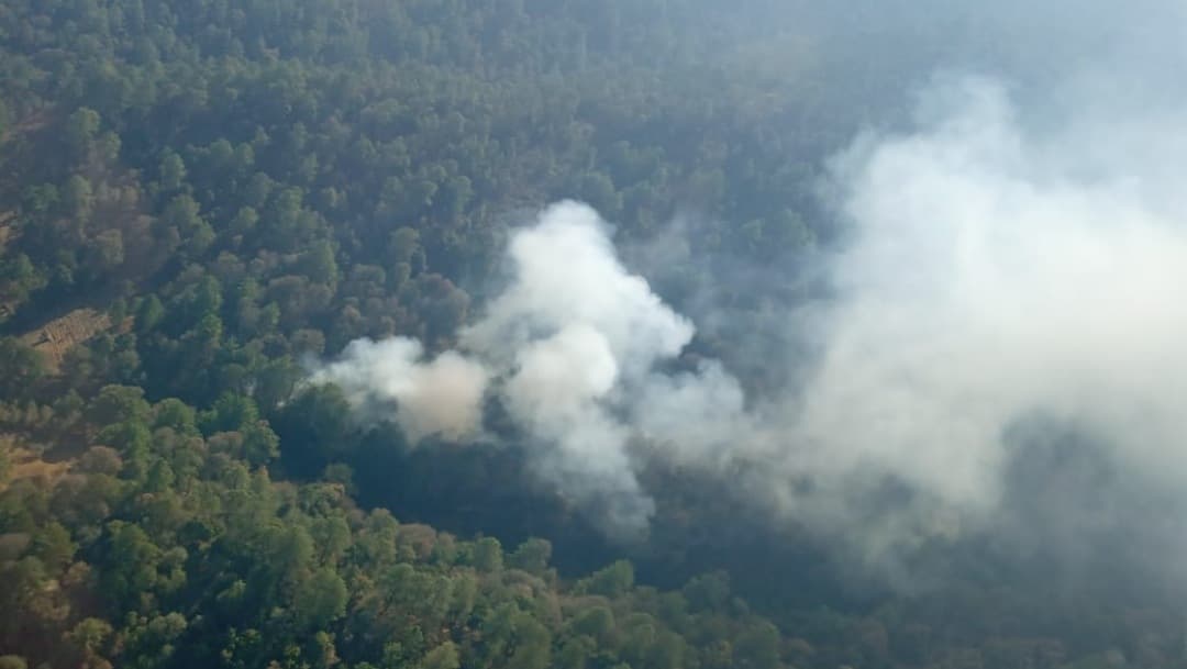 Incendios forestales afectan a Puebla y Guanajuato
