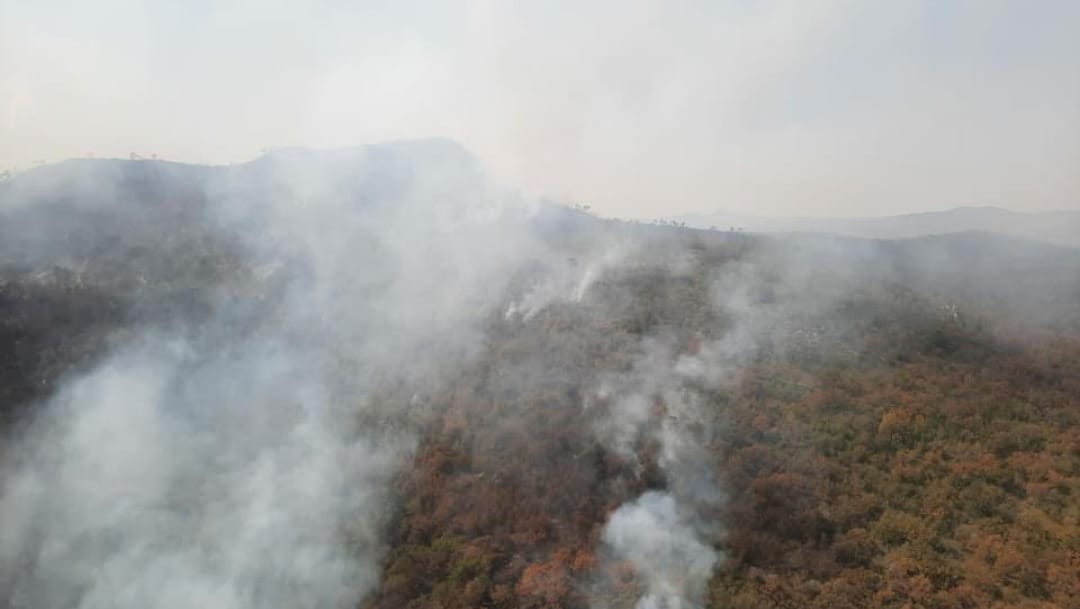 Incendios forestales afectan la Sierra de Tamaulipas