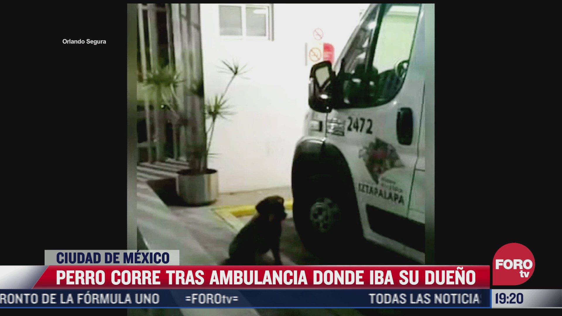 perrito persigue a ambulancia donde viajaba su dueno