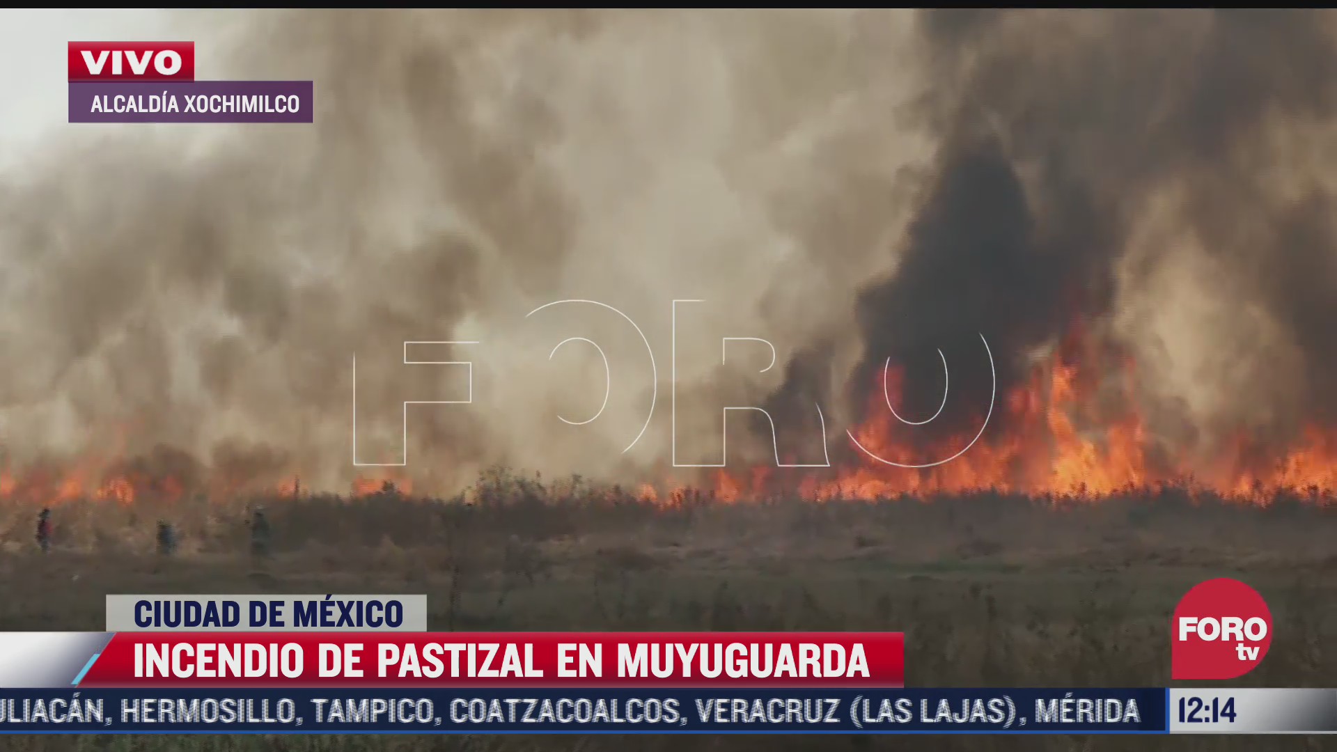 se registra incendio de pastizales en xochimilco