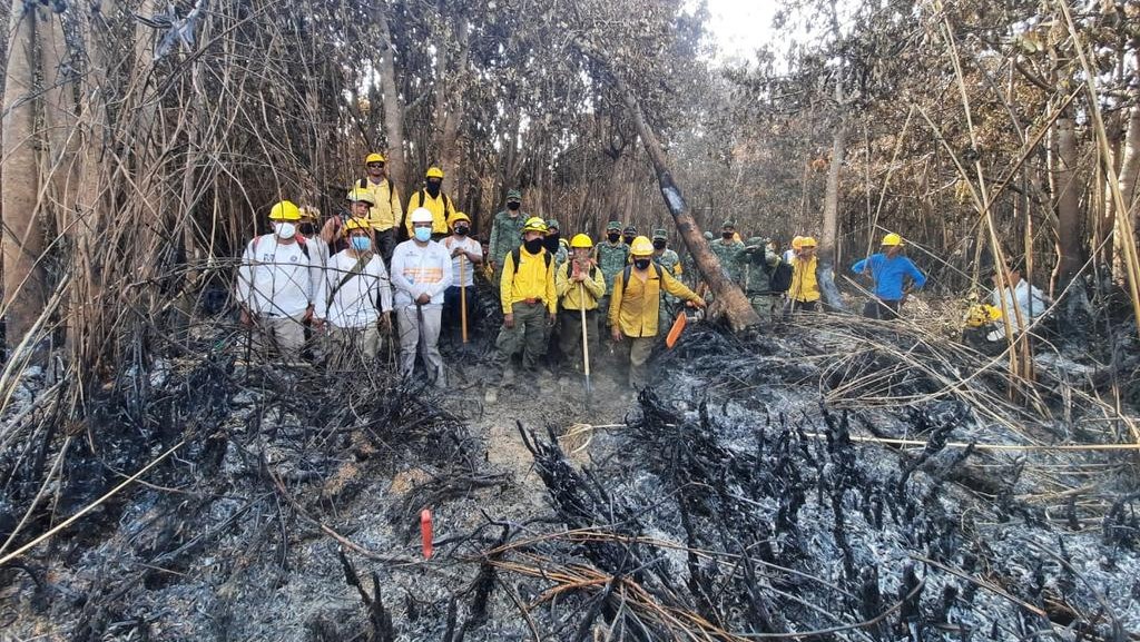 Altas temperaturas provocan incendios en áreas naturales de Chiapas