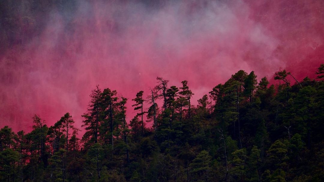 La Sierra de Arteaga, en Coahuila, padece desde hace un par de semanas de varios incendios forestales (Cuartoscuro)