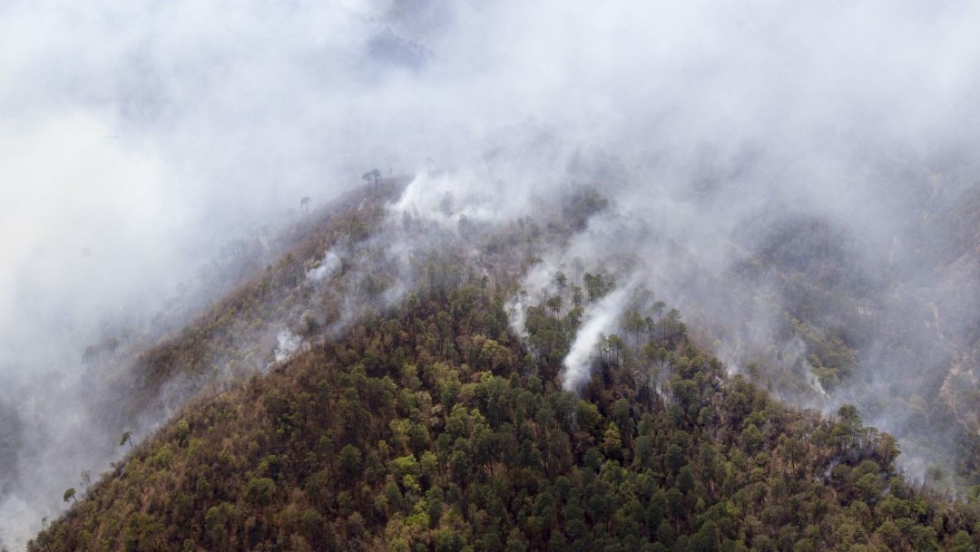 Avanza control del incendio forestal en sierra de Arteaga, Coahuila