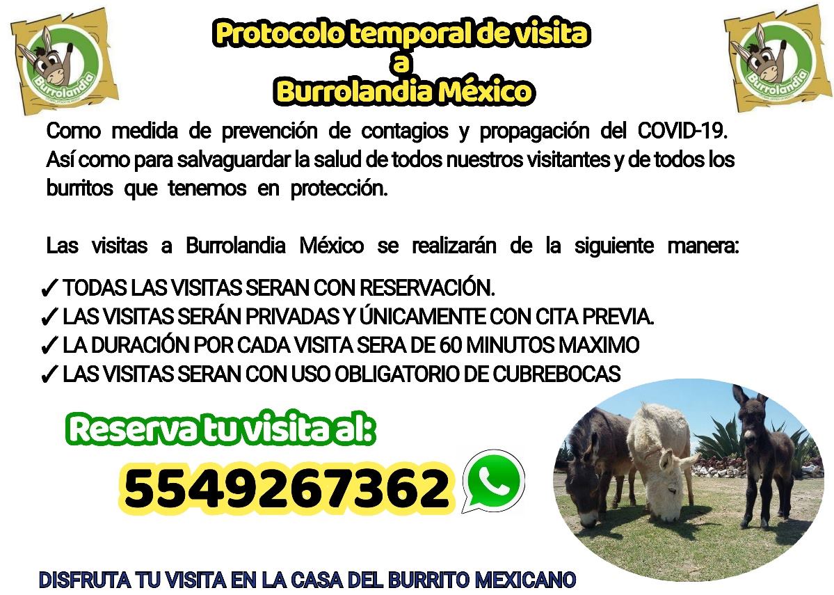 Burrolandia, burro mexicano, santuario, protección de animales