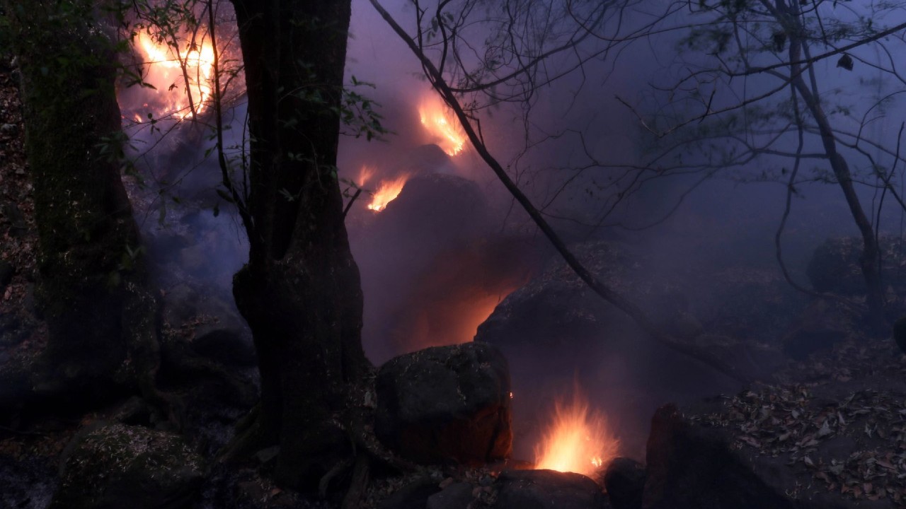 CDMX registra 888 incendios forestales en lo que va del año