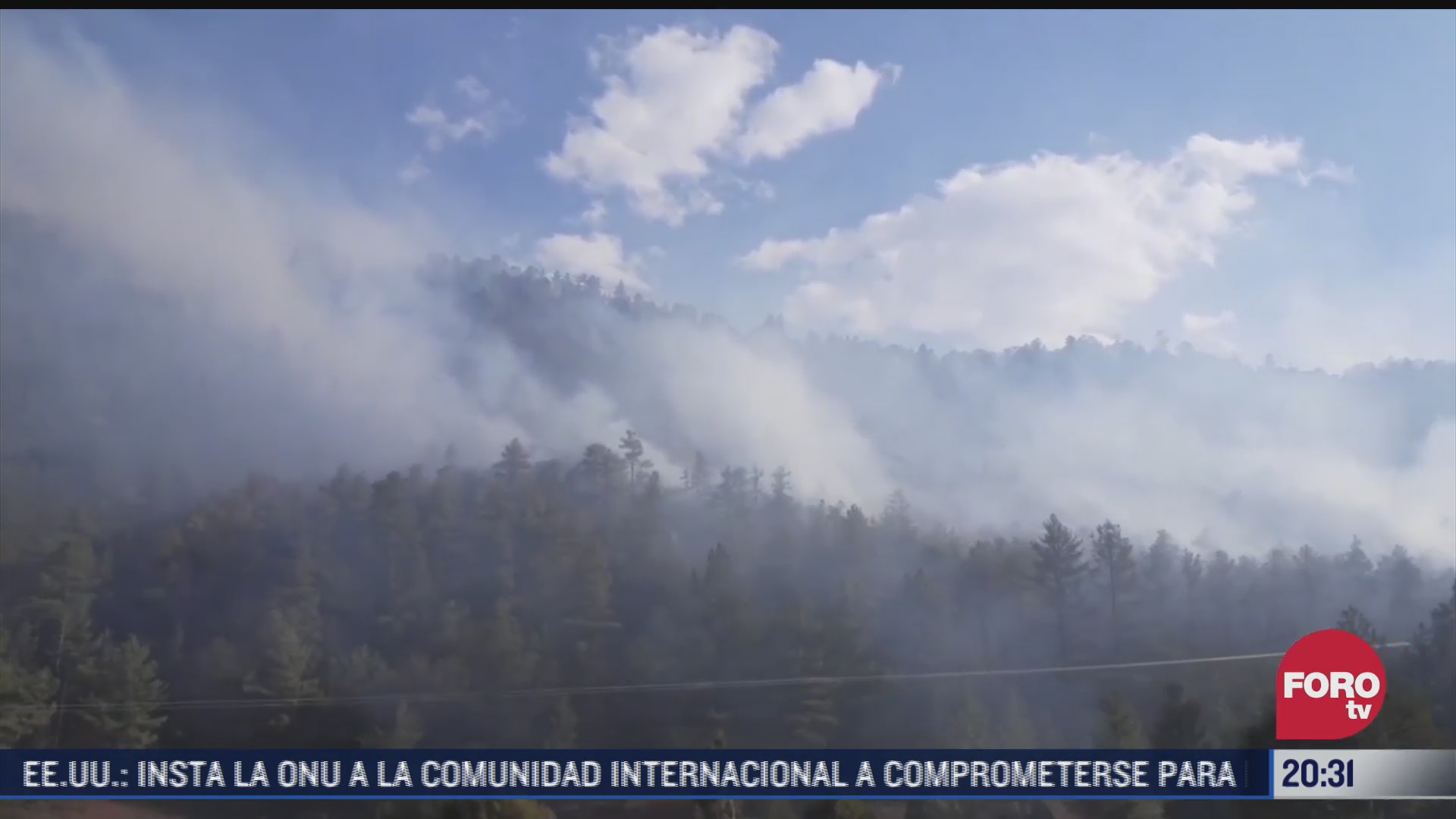 combaten incendio forestal en bocoyna chihuahua