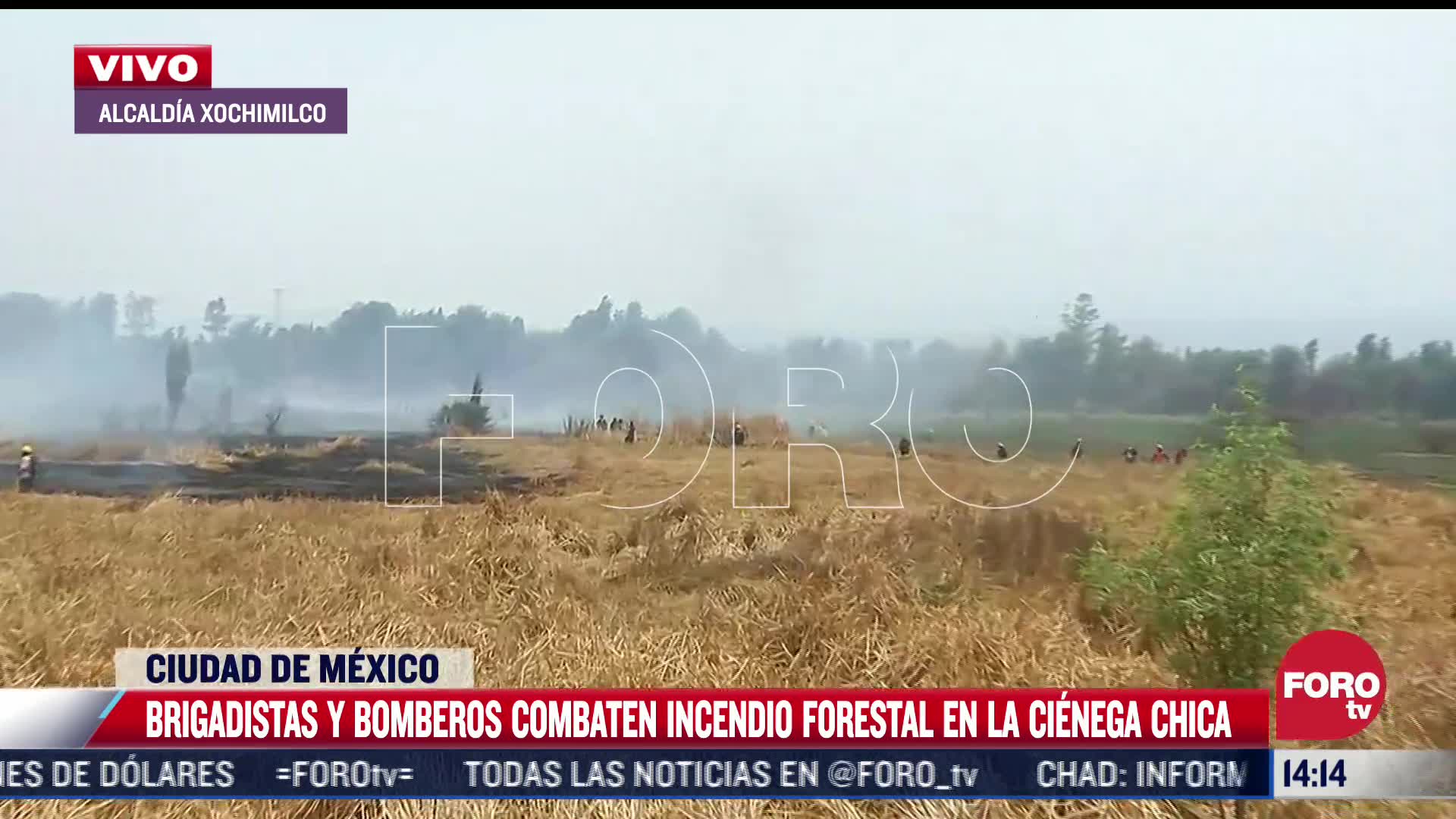 combaten incendio forestal en xochimilco