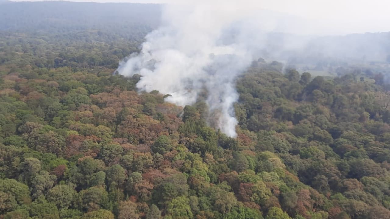 Controlan en 90% incendio forestal en el Tepozteco, Morelos