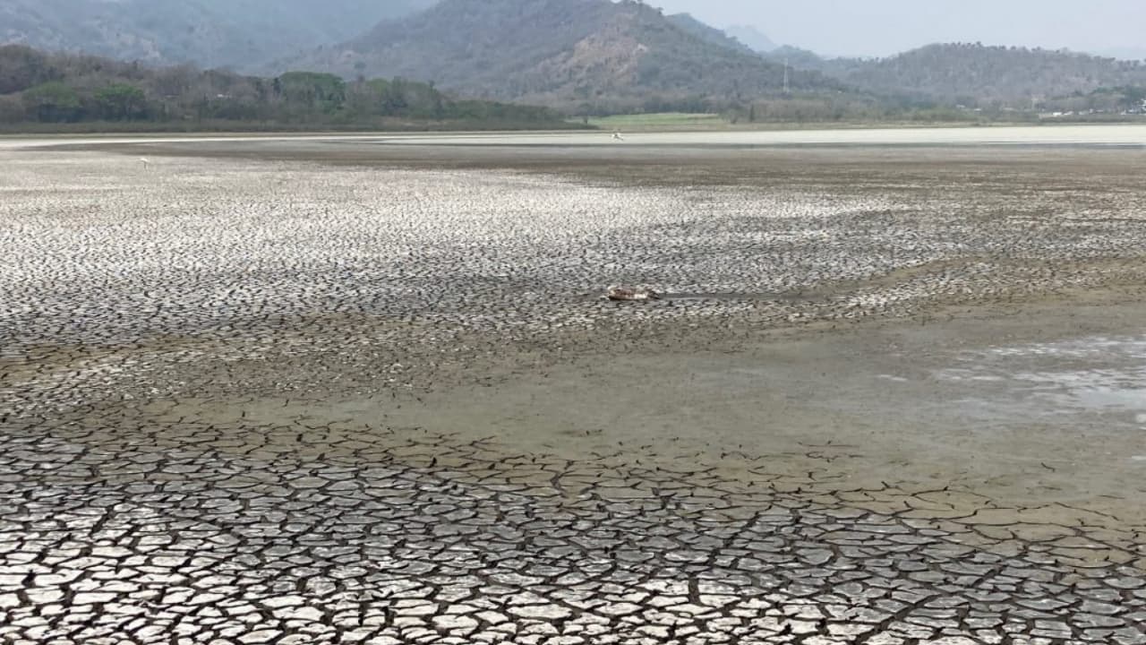 Desaparece laguna en Veracruz por explotación humana y no por sequía