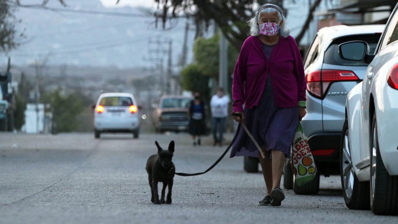 Exigen mayores sanciones tras aumento de secuestro de mascotas en Puebla