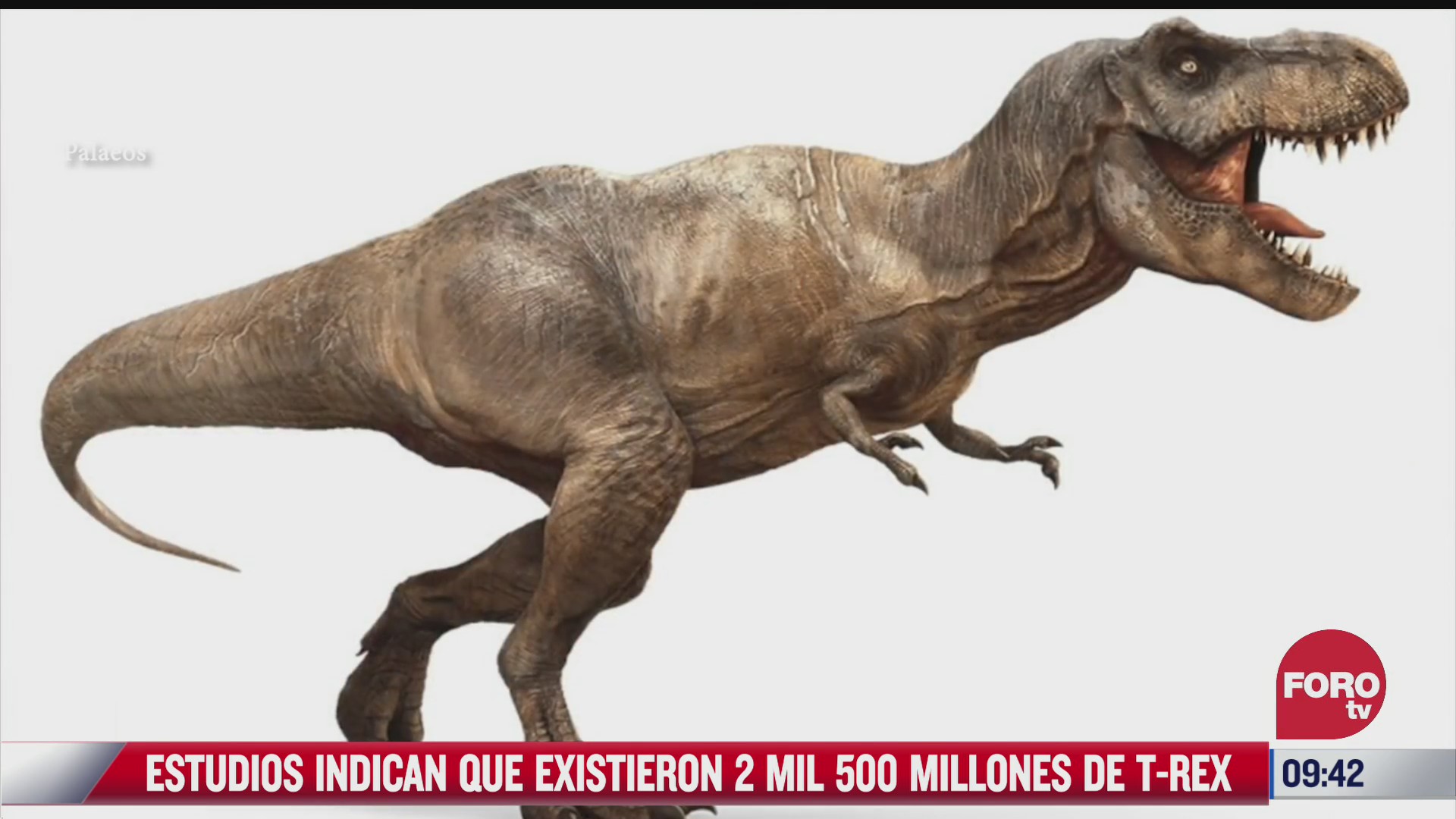 extra extra estudios indican que existieron 2 mil 500 millones de t rex