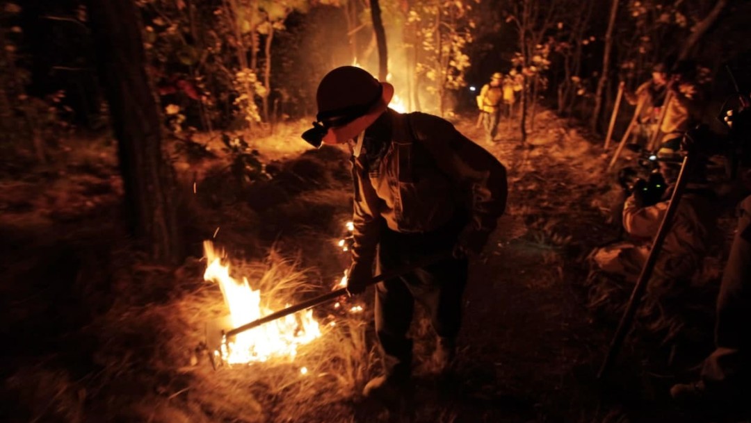 Incendio forestal de El Bosque de la Primavera (Twitter: @EnriqueAlfaroR)