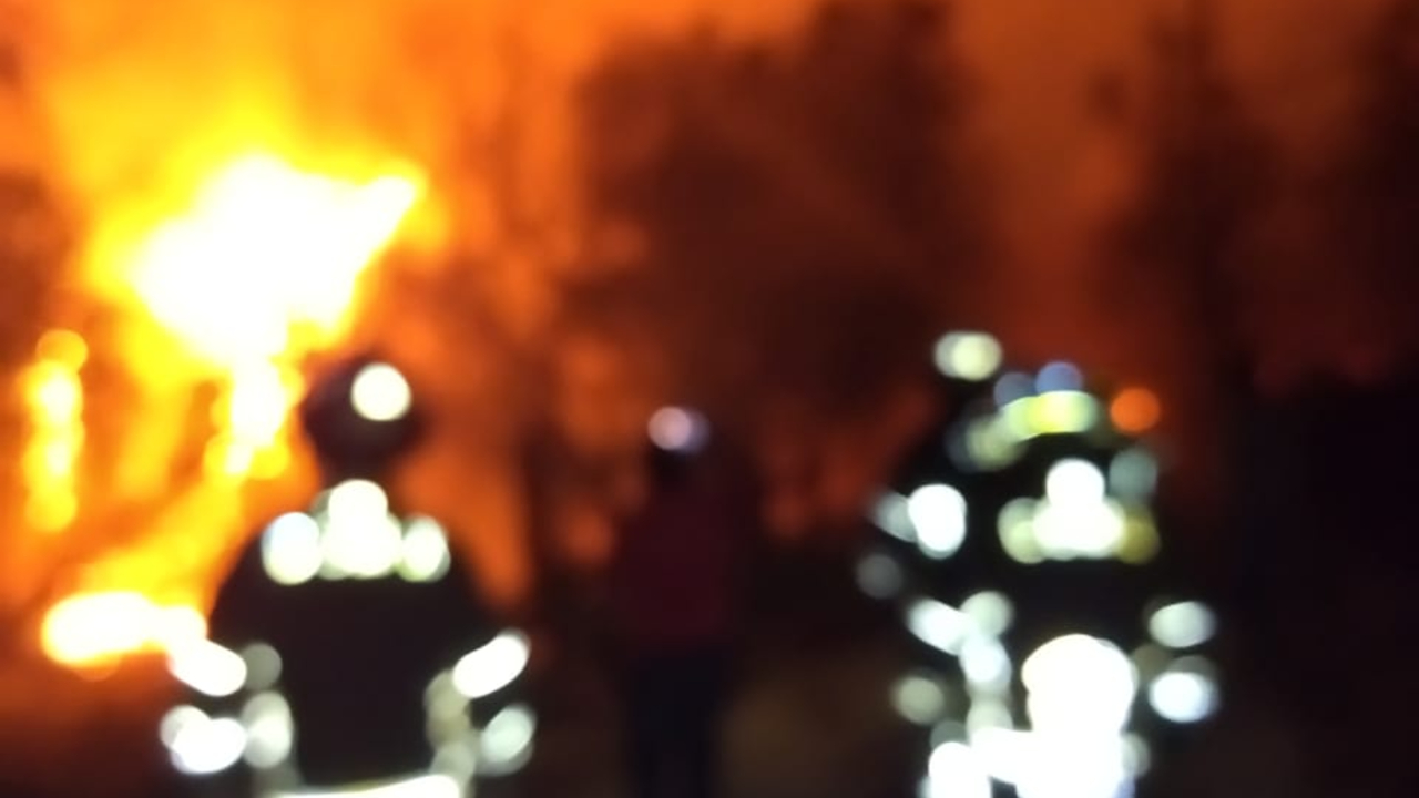 Sofocan nuevo incendio forestal en la Tercera Sección del Bosque de Chapultepec