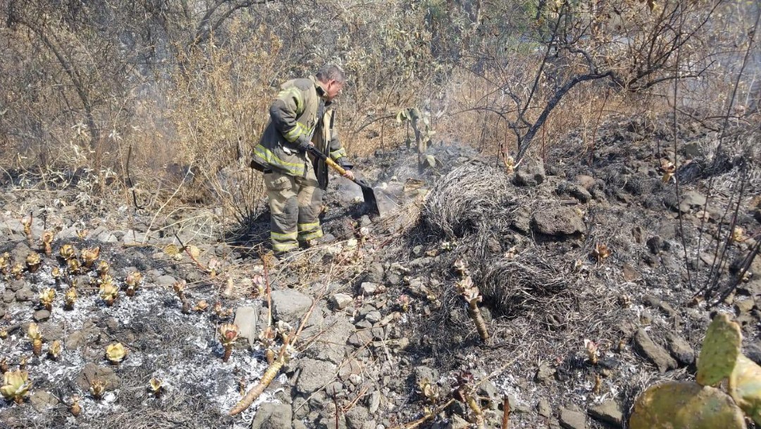 Incendio en Fuentes del Pedregal, CDMX, controlado en un 90 por ciento