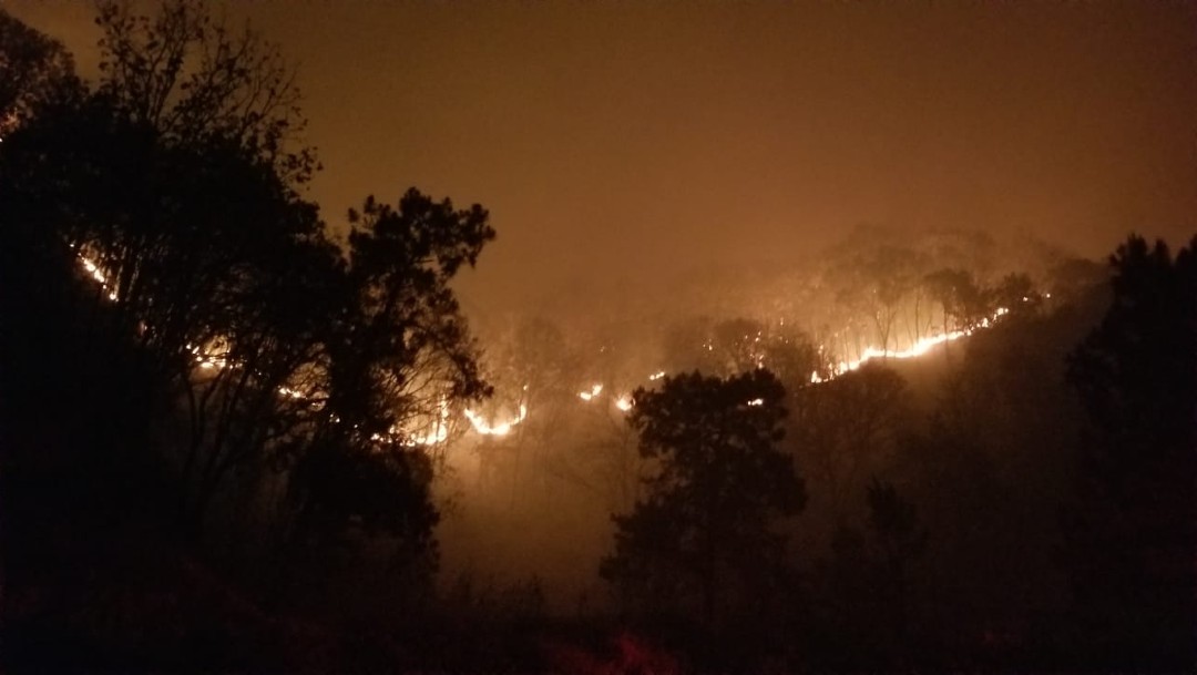 Incendio forestal destruye cientos de hectáreas en Chihuahua