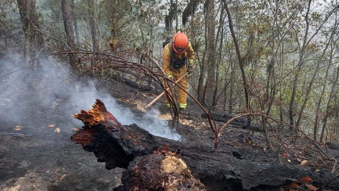 Bomberos y elementos de Protección Civil de Nuevo León combatiendo el incendio forestal en la Sierra de Santiago