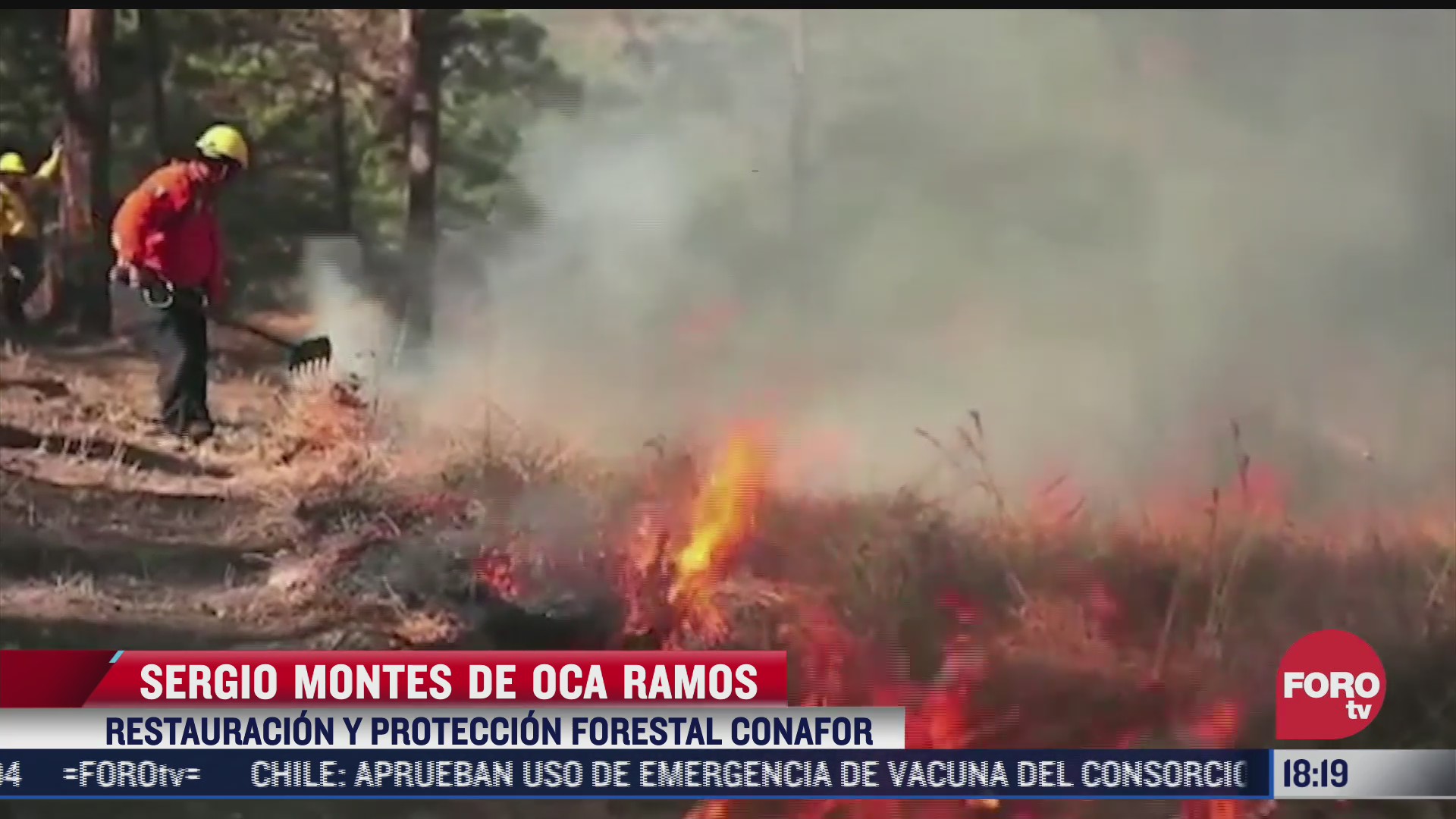 incendios forestales han devastado 6 mil hectareas en chiapas