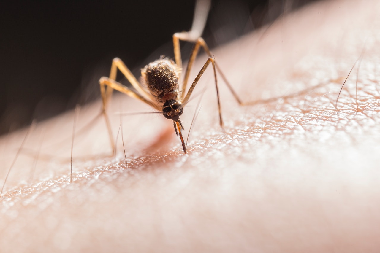 Vacuna contra la malaria demostró alta eficacia en ensayos