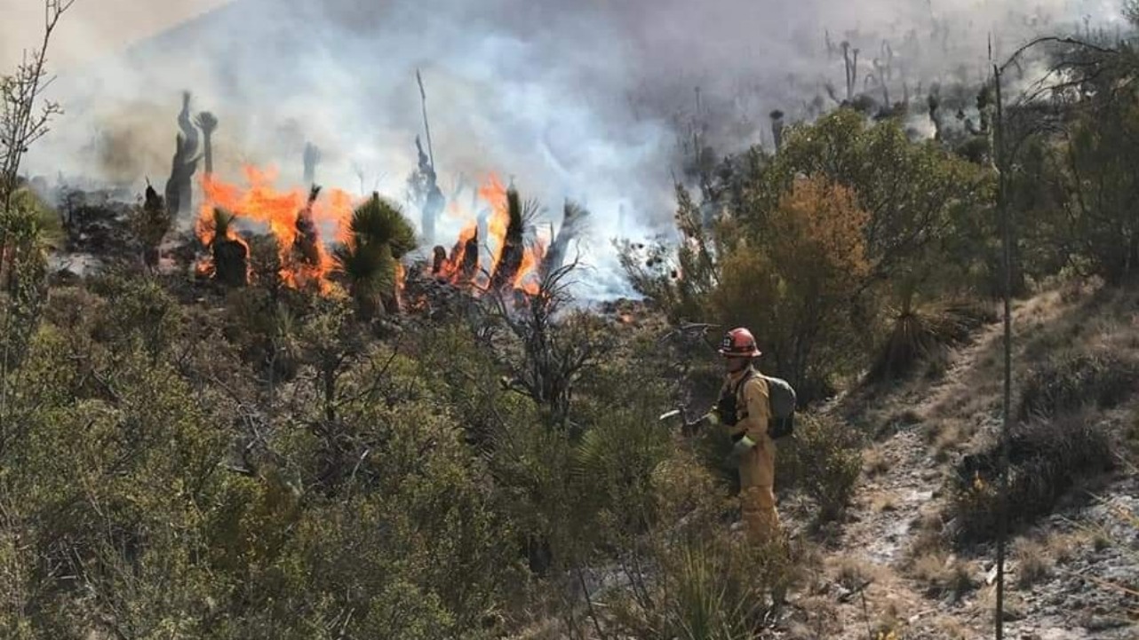 Incendio forestal arrasa con gran parte de la sierra de Zaragoza en Nuevo León