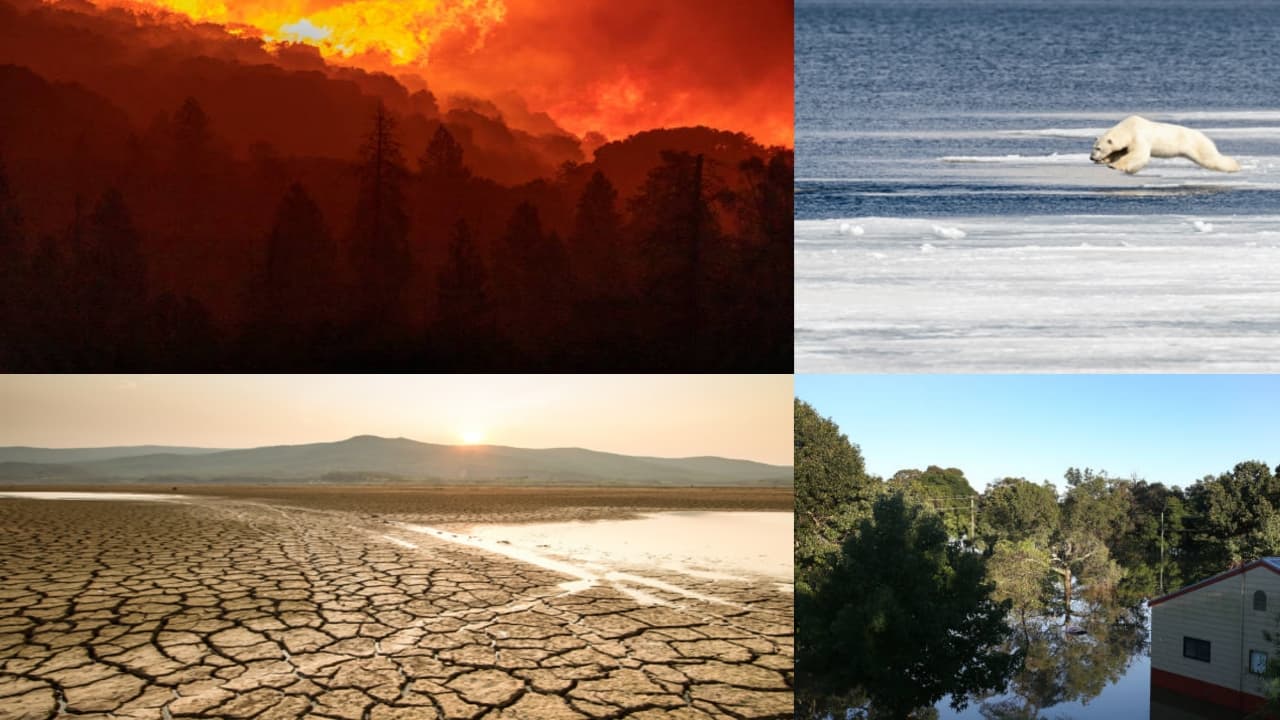‘Restaurar nuestra Tierra’, llamado urgente para contrarrestar los efectos del cambio climático
