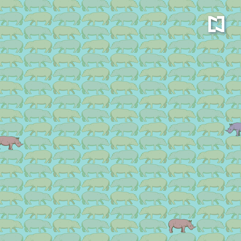 Encuentra los rinocerontes entre los hipopótamos, ilustración