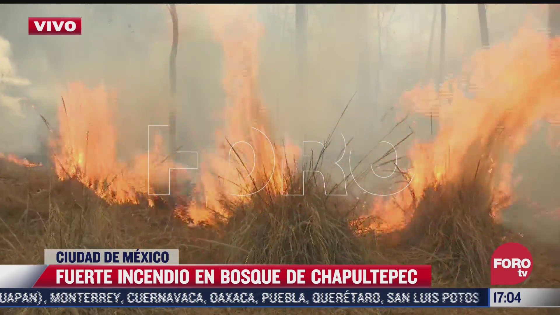 se registra incendio en la tercera seccion del bosque de chapultepec