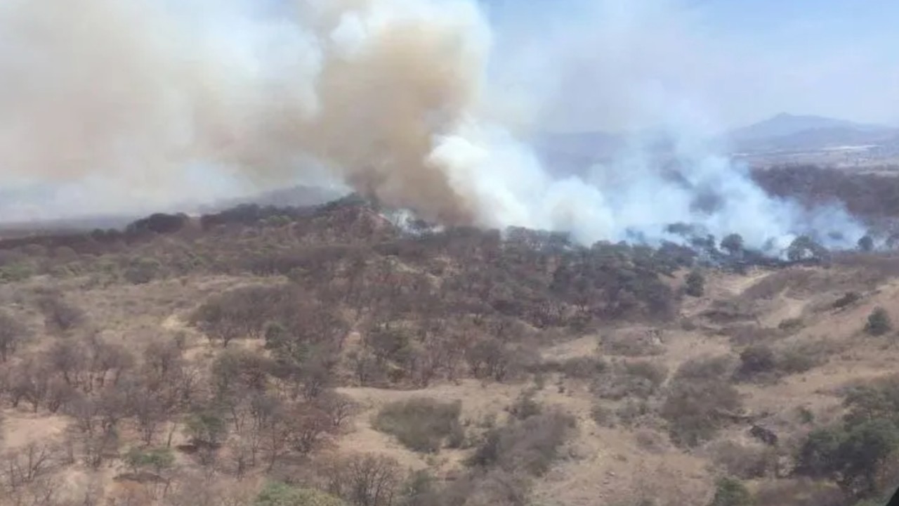 Se registra otro incendio forestal en Bosque de la Primavera en Jalisco.