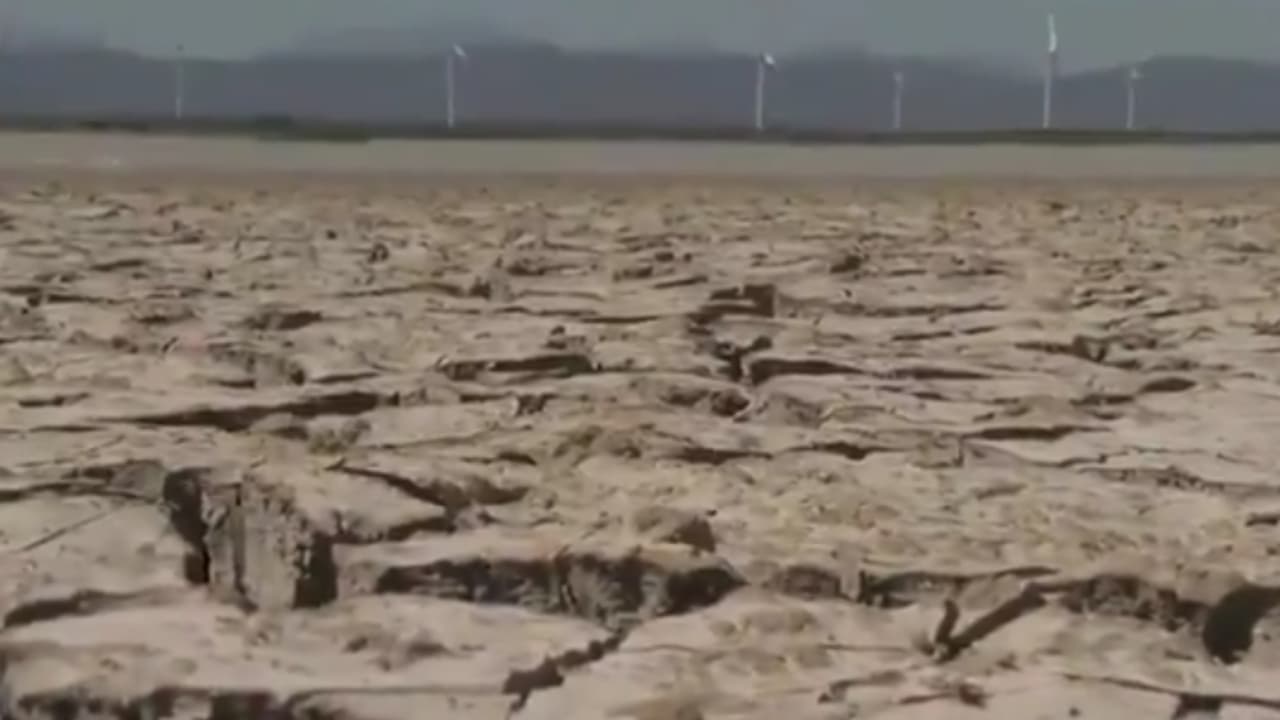 Sequía afecta ganado y cultivos en Ramos Arizpe, Coahuila